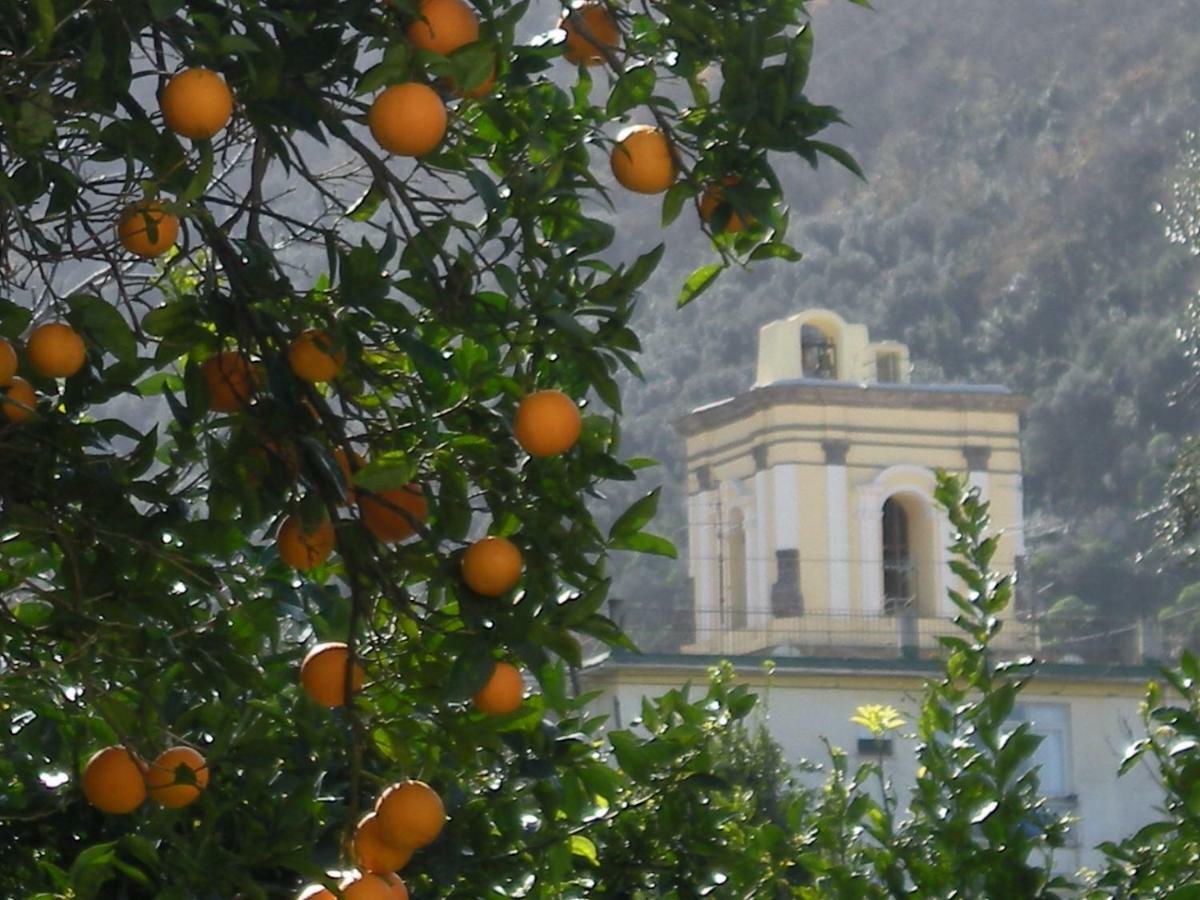 Casa De Angelis Orange & Blue Apartment Sant'Agnello Bagian luar foto