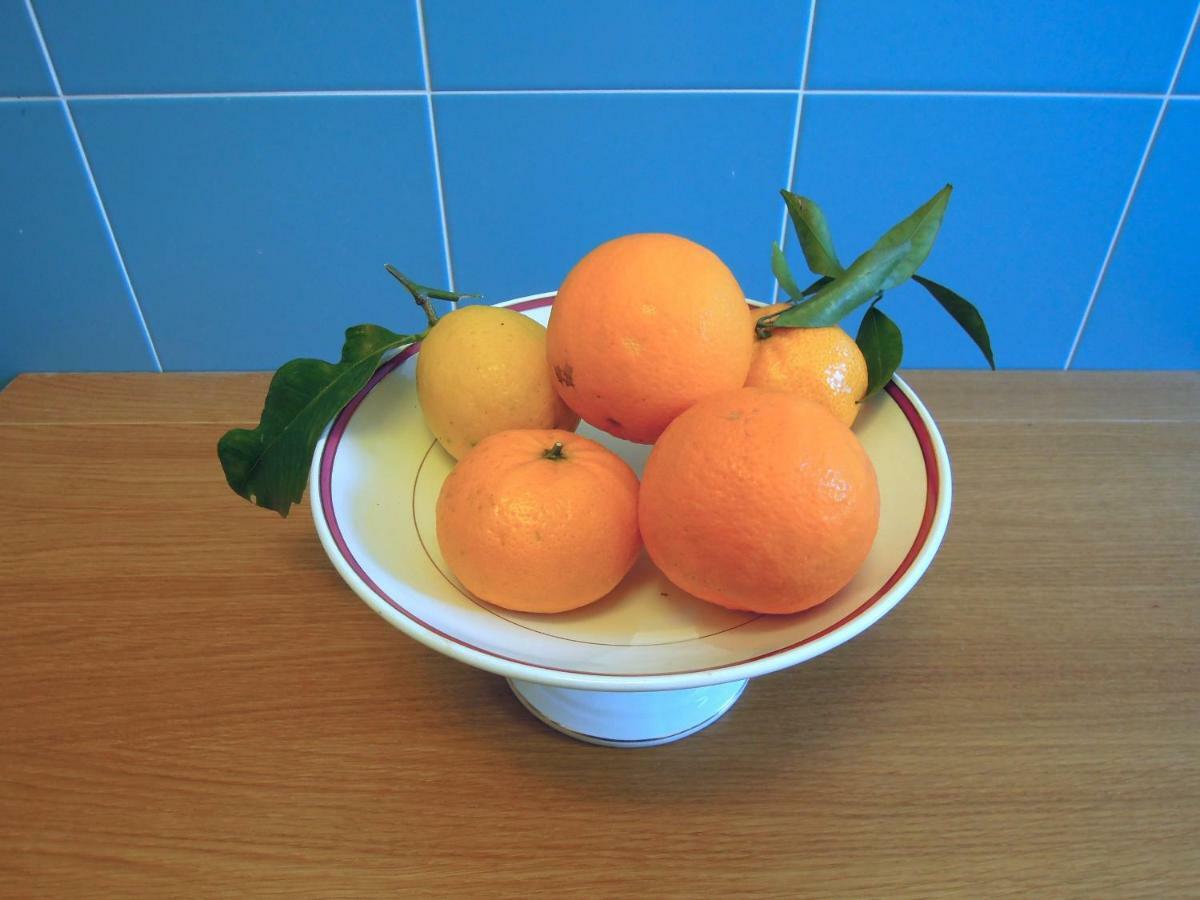 Casa De Angelis Orange & Blue Apartment Sant'Agnello Bagian luar foto